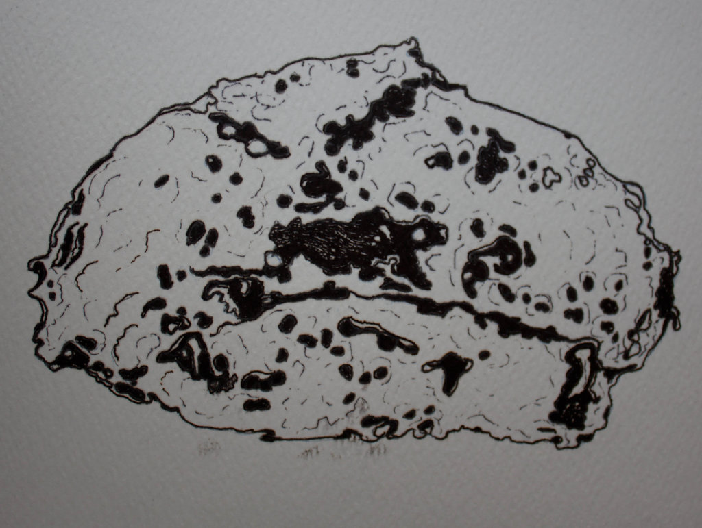 Fragment