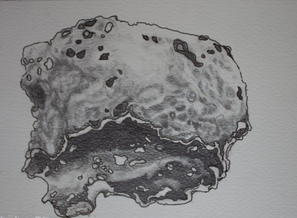 Fragment