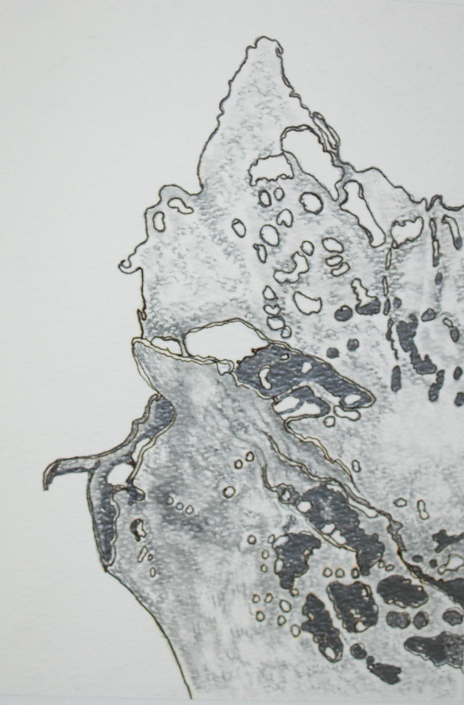 Fragment