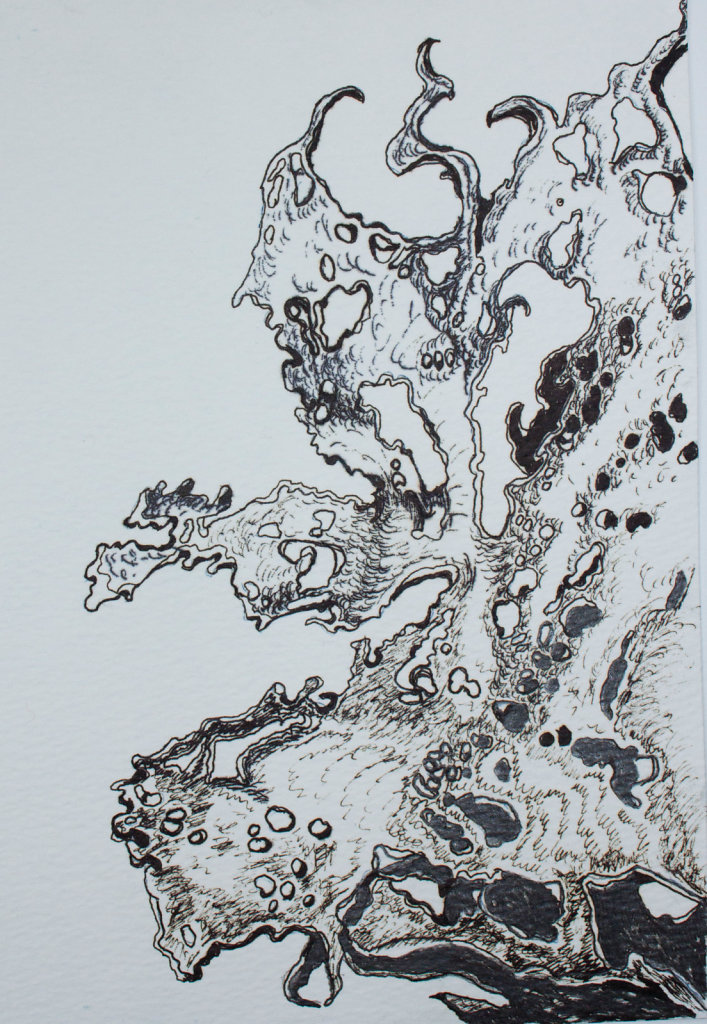 FRAGMENTS-pencil-and-ink-drawing-size-A52015-1-2.jpg